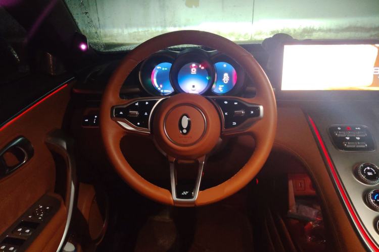 Used ORA Lightning Cat 2022 555 km Luxury Edition