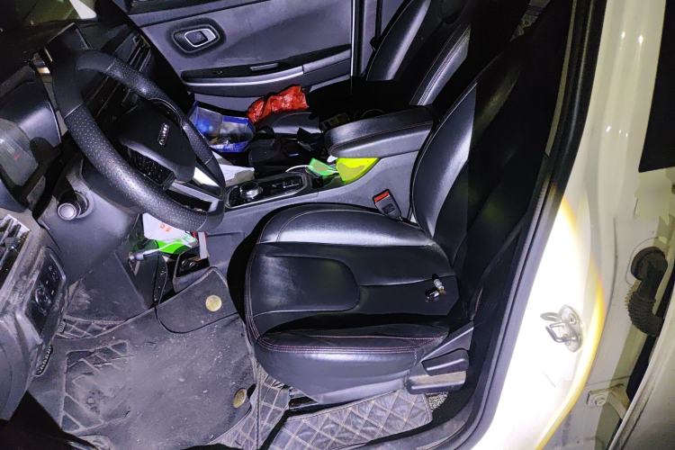 Used Dayun Yuehu 2021 Revised Version 32.85 kWh Two-Wheel Drive Sprite Edition
