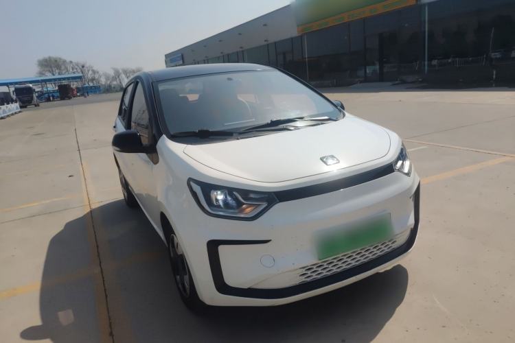 Used SOL E10X 2022 Flower Fairy Design Four-Leaf Clover