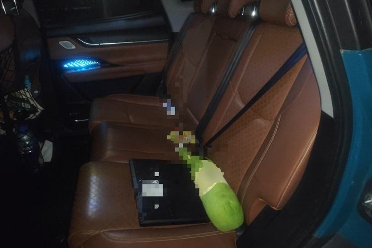 Used Chery New Energy eQ5 2020 High-Energy Pro Edition Left Rear Seat