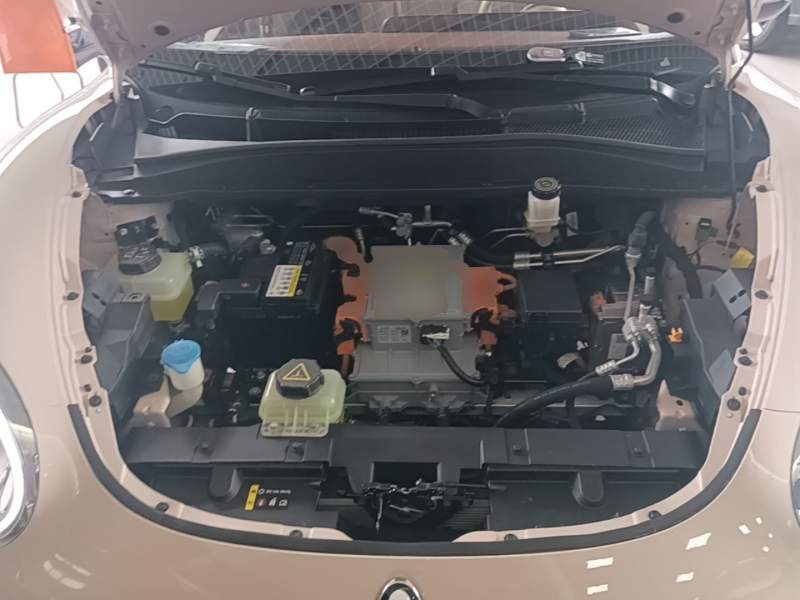 Used ORA Good Cat 2021 400km Standard Range Venus Edition Lithium-Ion Battery — 19