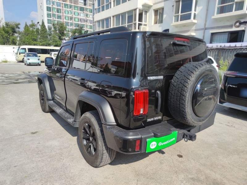 Used Tank 300 2024 2.0T Conqueror — 4
