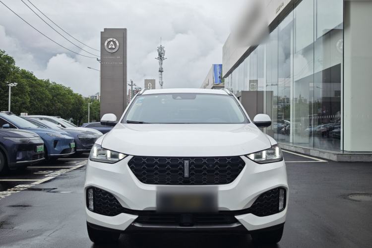 Used Wey VV6 2019 2.0T Two-Wheel-Drive Ultra-Luxury Version China VI Standard
