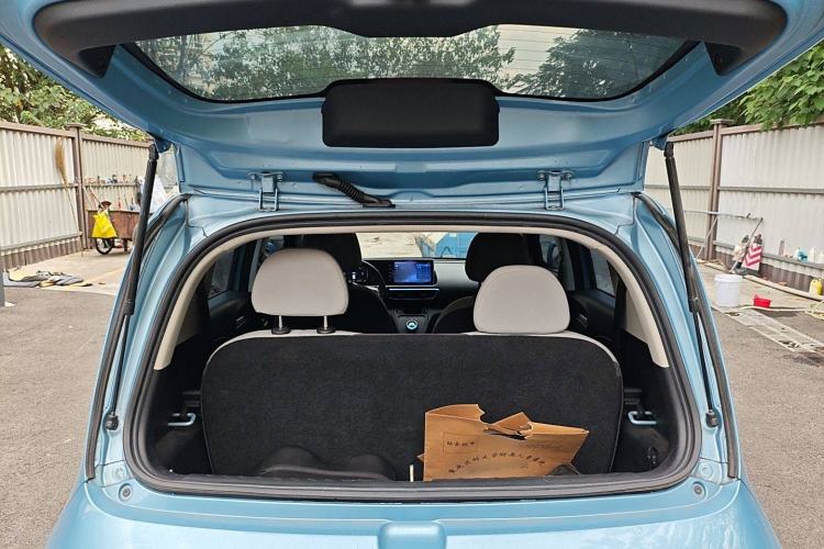 Used ORA White Cat 2020 305 km Luxury Version