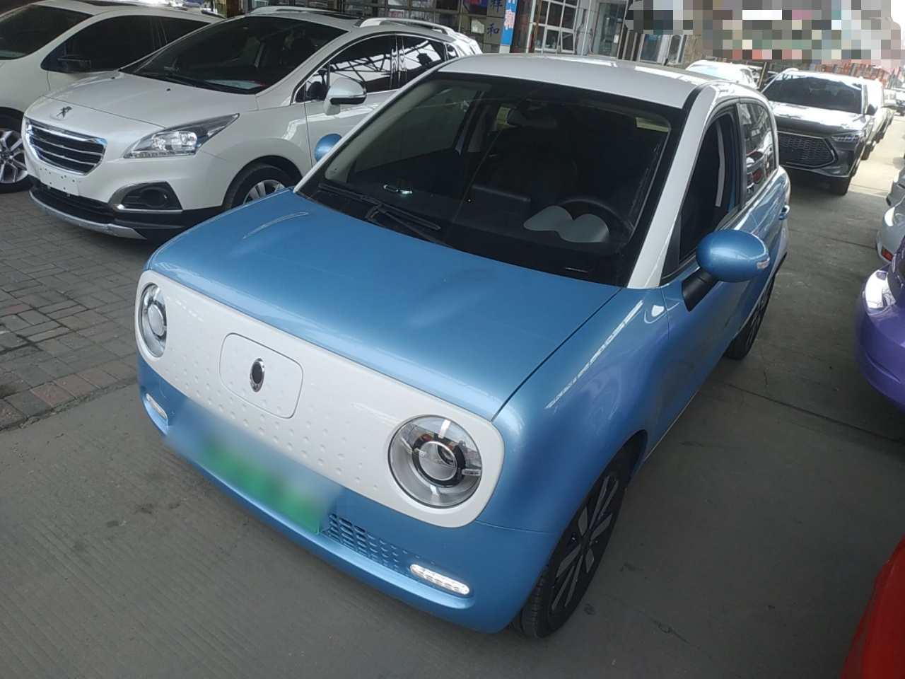 Parte inferior delantera