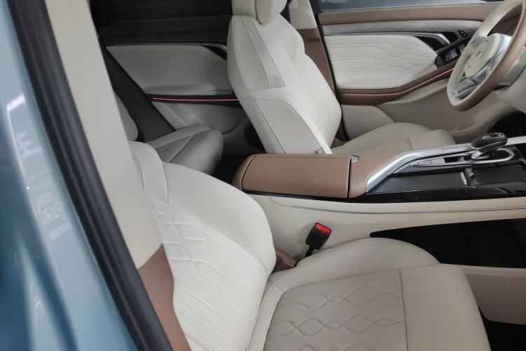 Used VOYAH FREE 2021 Four-Wheel Drive Standard All-Electric Exclusive Luxury Package
