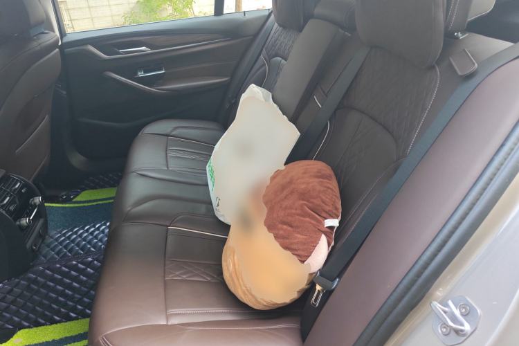 Used BMW 5 Series New Energy 2019 530Le Luxury Package Left Rear Seat