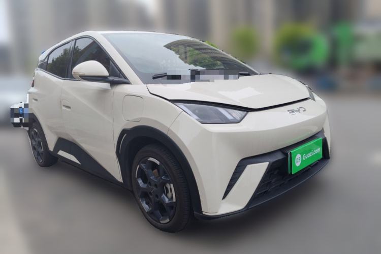 Used BYD Seagull 2025 305 km Free Version