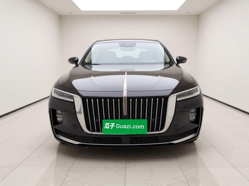 Used Hongqi H9 2020 2.0T Smart Connect Flagship Edition – Chinese Trim Chang — 11