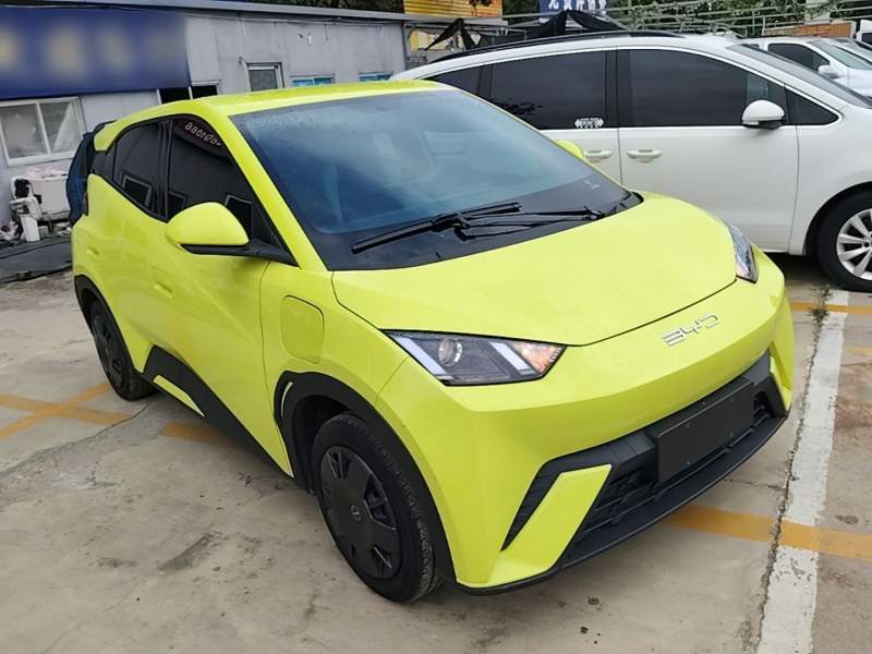 Used BYD Seagull 2024 Honor Edition 305km Dynamic Version — 3
