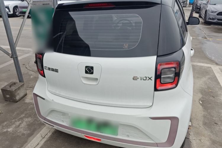 Used SOL E10X 2022 Flower Fairy Design Four-Leaf Clover