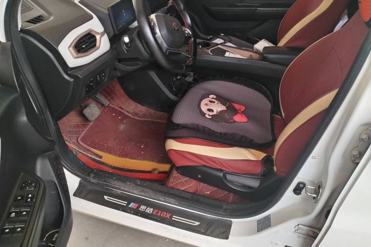 Used SOL E10X 2022 Flower Fairy Design Four-Leaf Clover