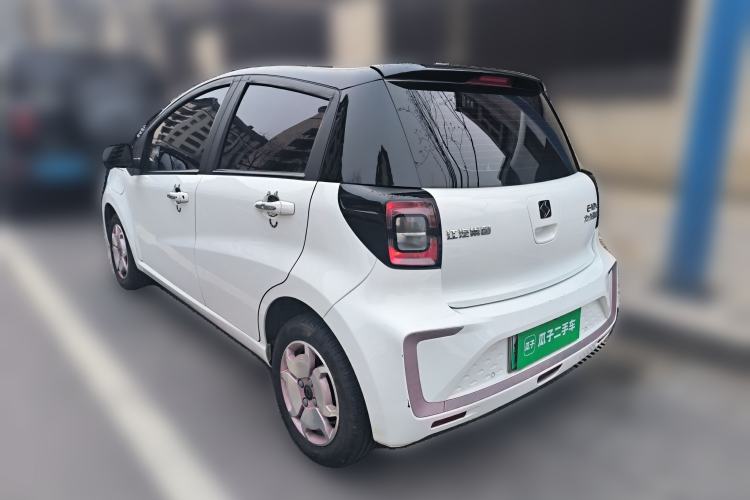 Used SOL E10X 2022 Flower Fairy Design Sunflower