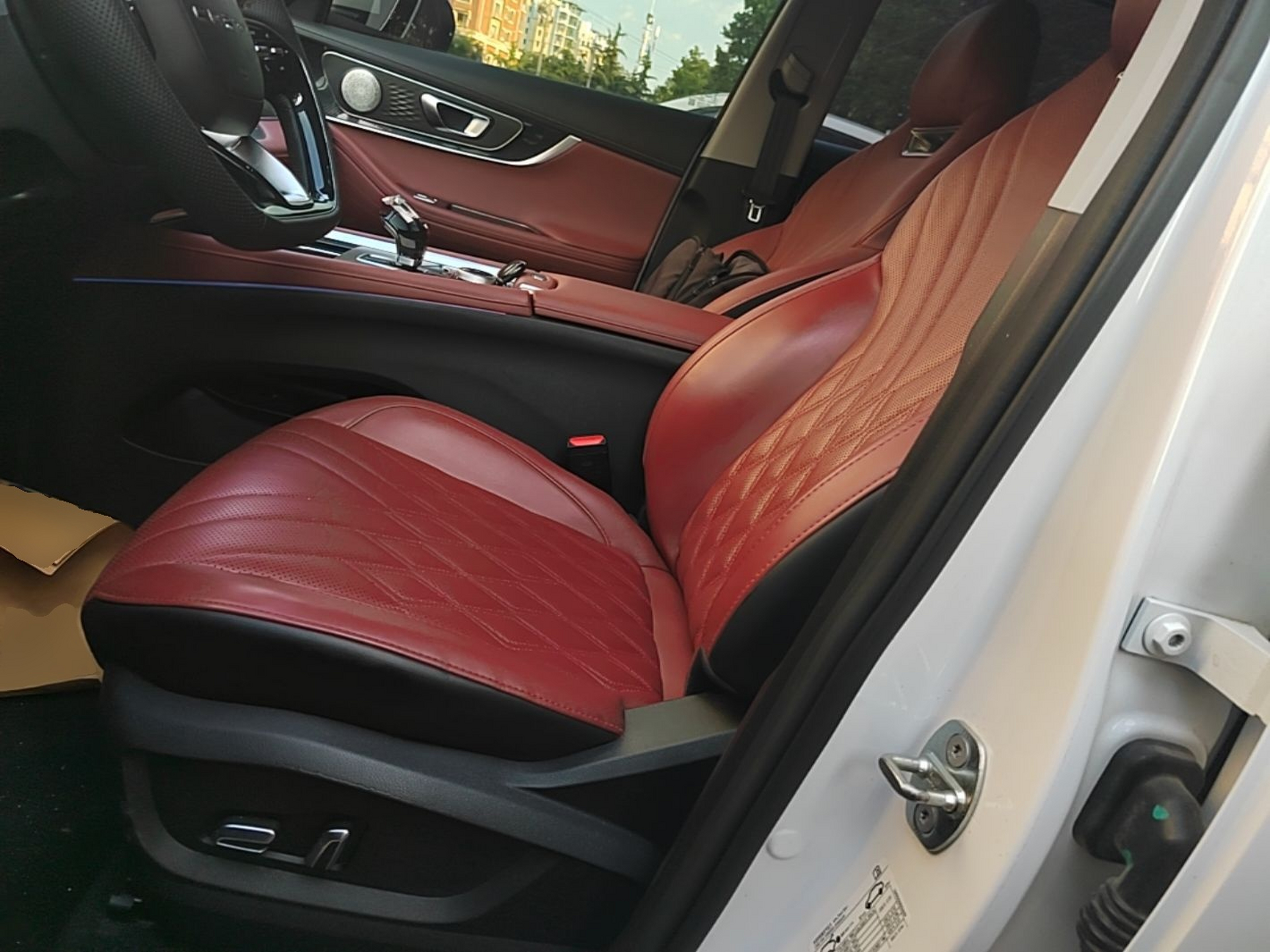 Interior delantero