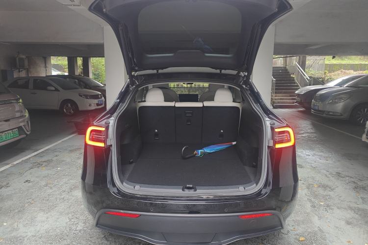 Used Tesla Model Y 2021 Standard Range Rear-Wheel Drive Version
