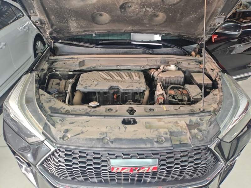 Used Haval H6 Coupe 2018 Red-Label 1.5T Automatic Two-Wheel Drive Ultra-Luxury Model — 19