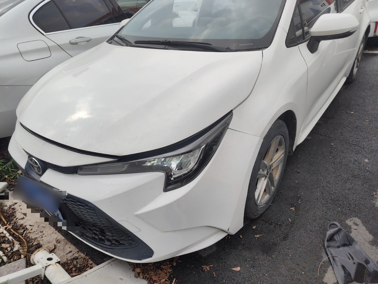 Parte inferior delantera