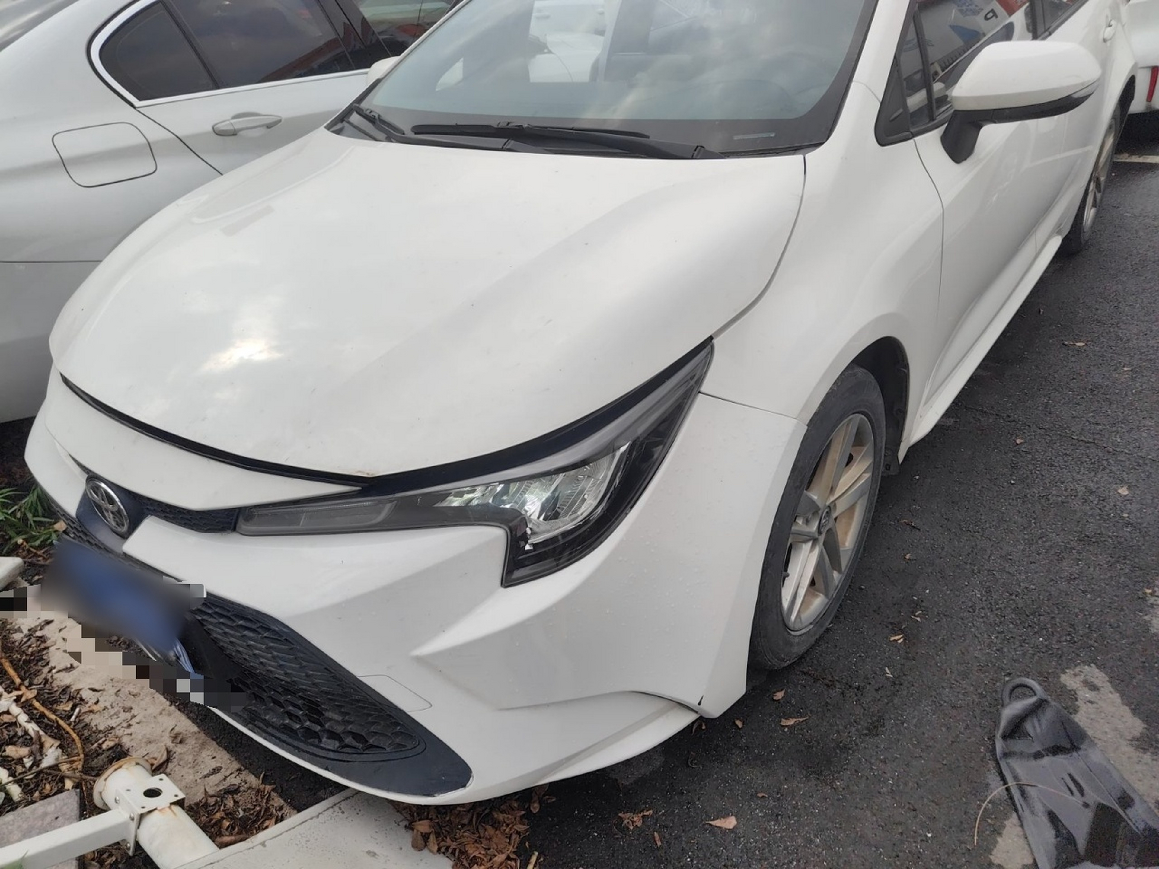 تحت مقدمة السيارة