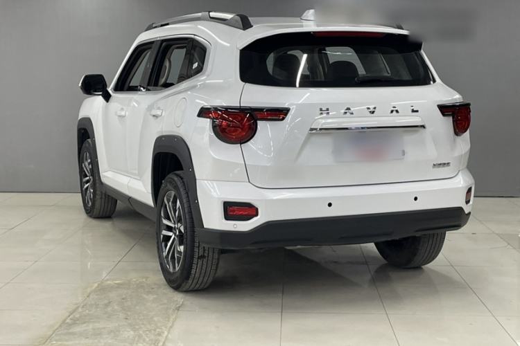 Used Haval H Dog 2023 2.0T Two-Wheel Drive Chaoye Version Plus