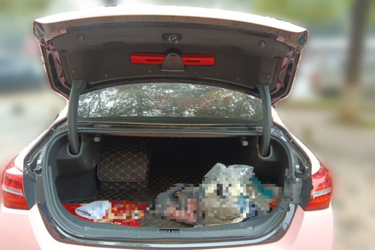 Used Hongqi H5 2020 1.5T DCT Flagship Edition