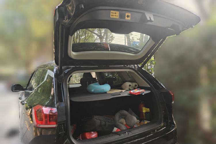 Used Wey VV6 2020 2.0T Two-Wheel Drive Smart Protection+