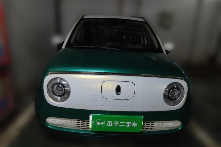 Used ORA Black Cat 2021 301 km Basic Version Front