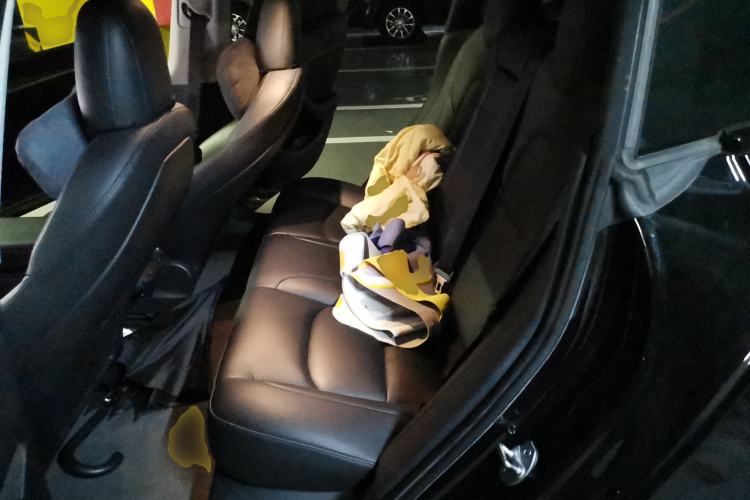 Used Tesla Model 3 2021 Standard Range Rear-Wheel Drive Upgraded Version 3D6
