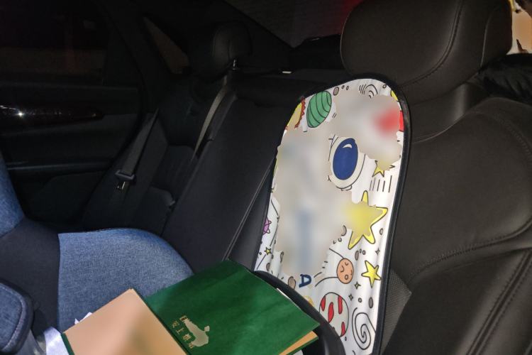 Used Cadillac CT6 PLUG-IN 2017 30E Elite Version Left Rear Seat