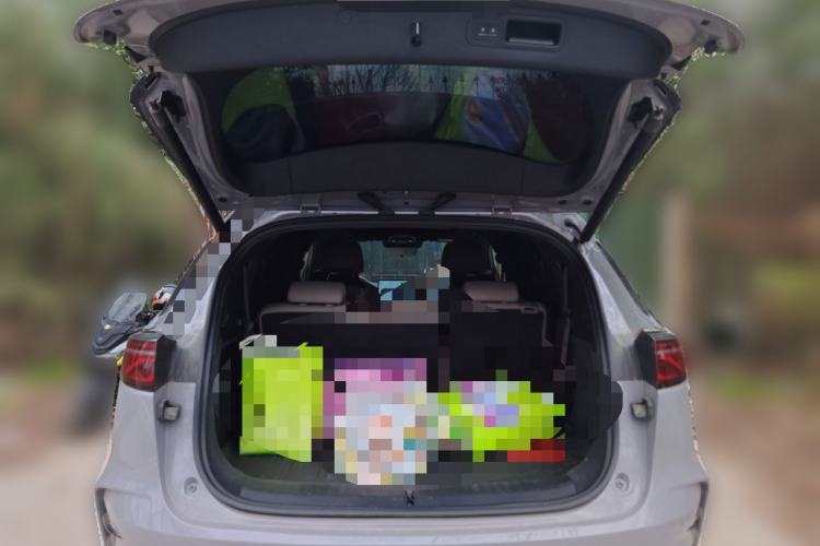 Used BYD Tang New Energy 2025 Intelligent Driving Version DM-i 115KM Flagship Edition