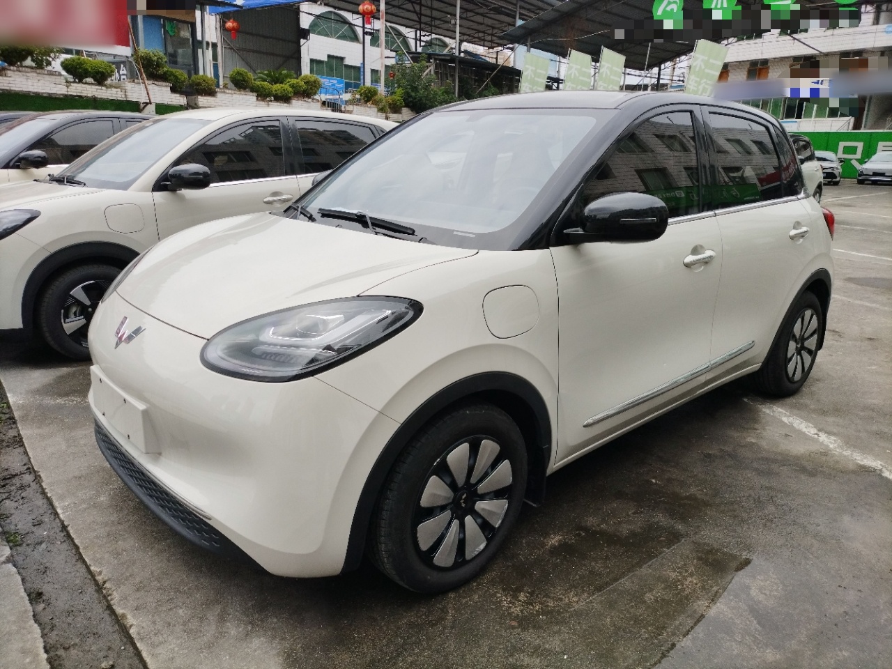 Parte inferior delantera