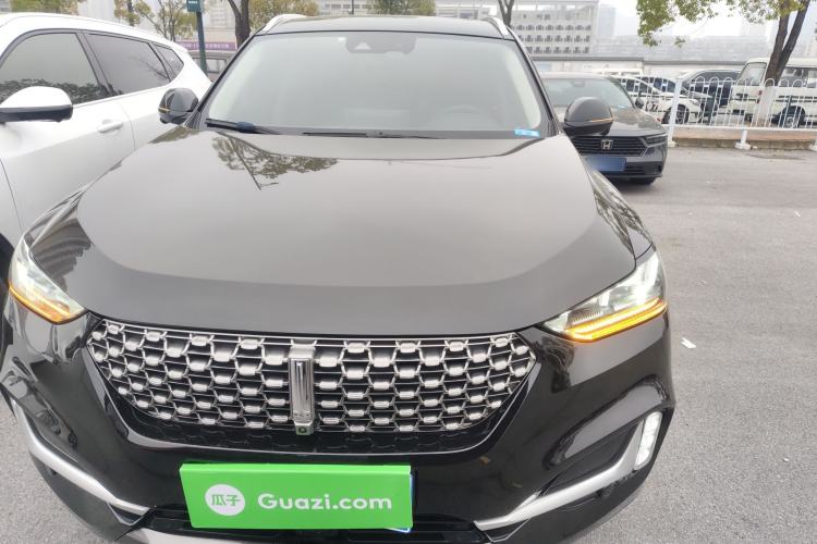 Used Wey VV6 2021 2.0T Two-Wheel Drive Smart Plus
