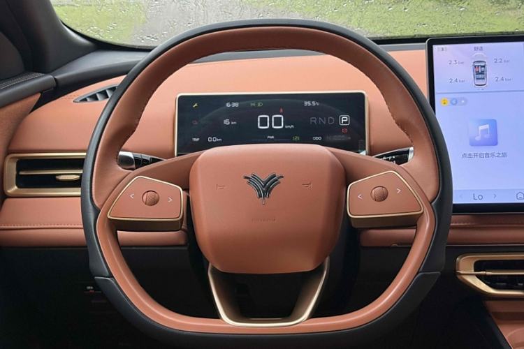 Used NETA X 2024 500 First Edition
