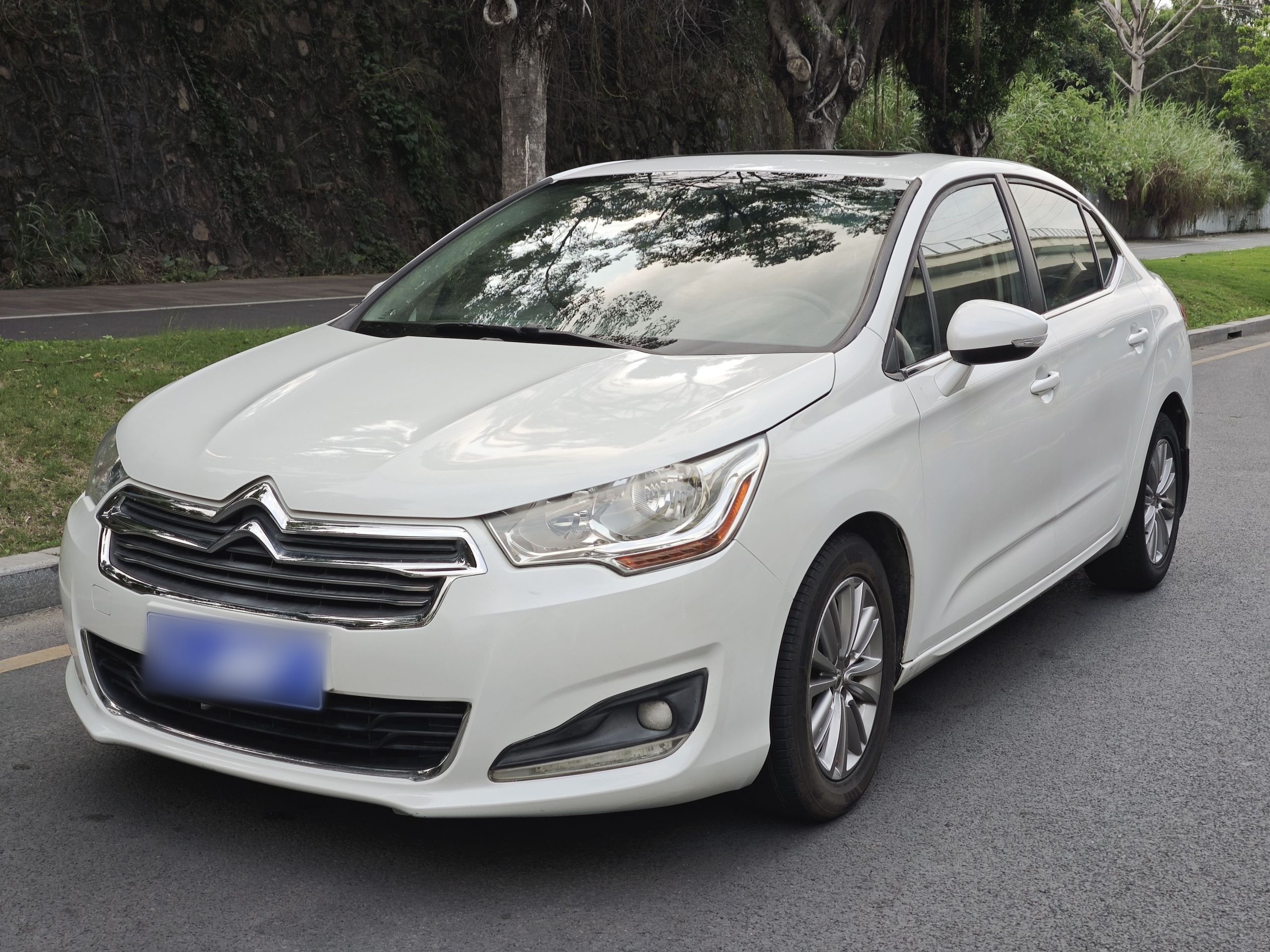 Parte inferior delantera