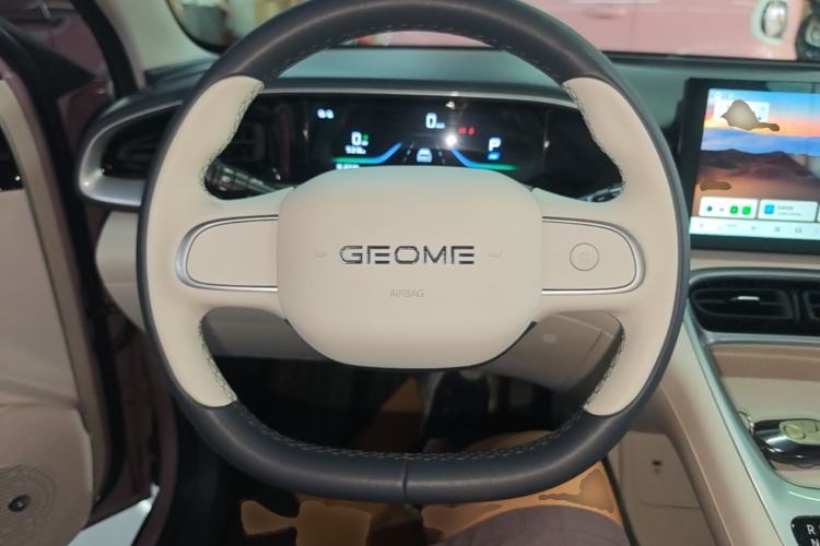 Used Geely Galaxy Geome 2025 310km Youth Edition
