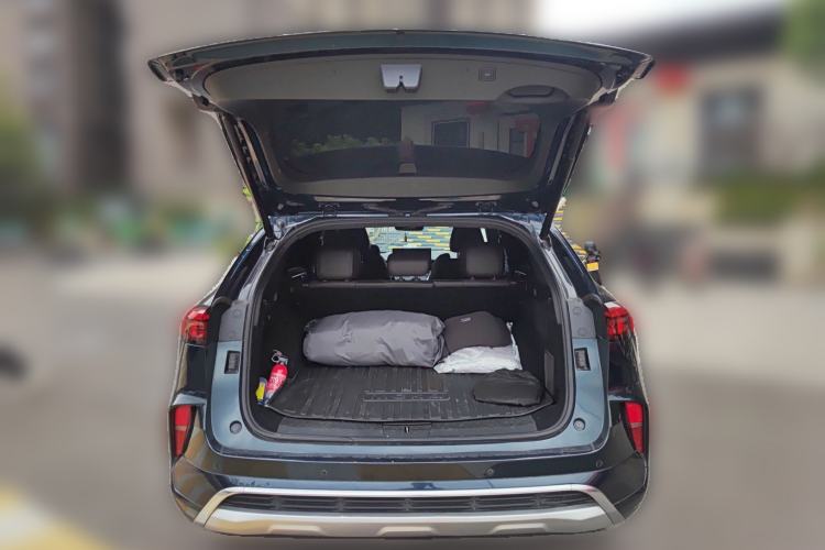 Used Wey Mocha 2021 2.0T Two-Wheel-Drive Ultra-Strong Version