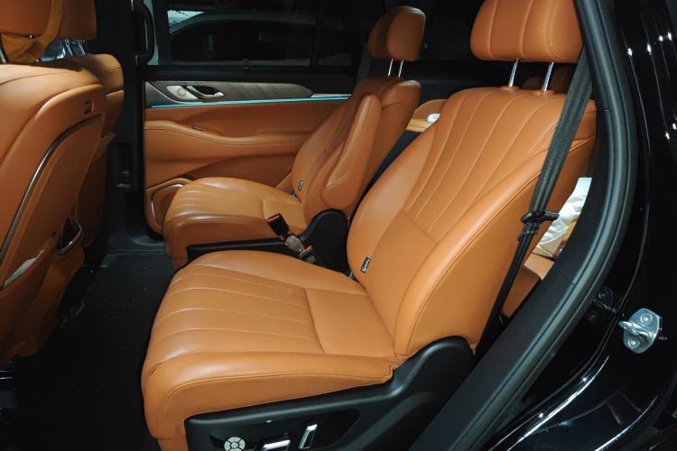 Used Wey Lanshan 2023 Four-Wheel Drive Ultra-Long Range Version Left Rear Seat