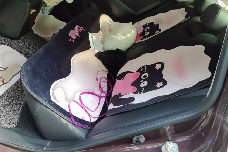 Used Nissan Sylphy 2018 1.6XV CVT Deluxe Edition Left Rear Seat