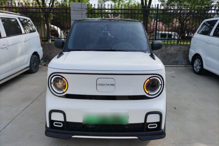 Used Geely Galaxy Panda 2024 200km Panda Kart
