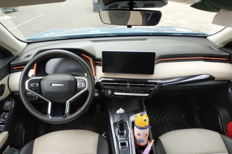 Used Haval LHERY 2021 High-Performance Version 1.5T Golden Rabbit