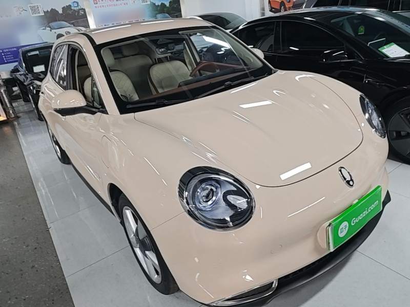 Used ORA Good Cat 2023 401 km Standard Range Luxury Version Lithium Iron Phosphate — 3