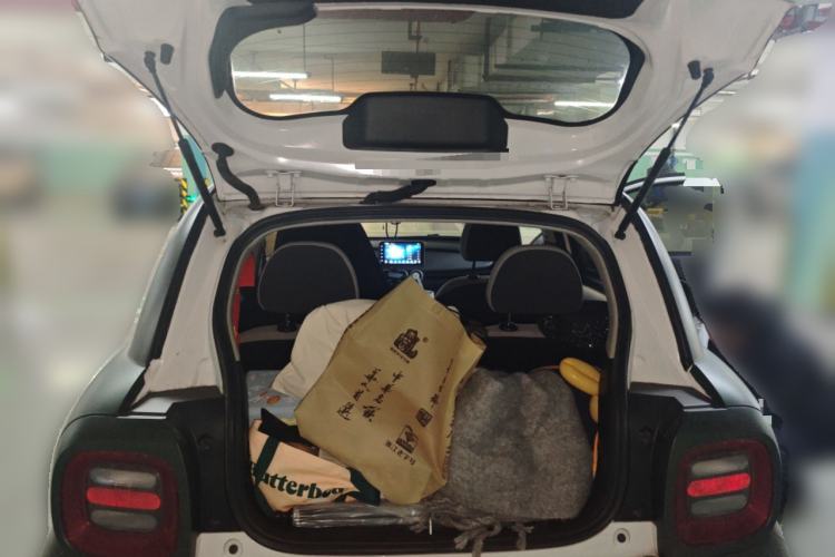 Used ORA Black Cat 2022 Updated Version 301 km Cute Pet Edition Lithium Iron Phosphate