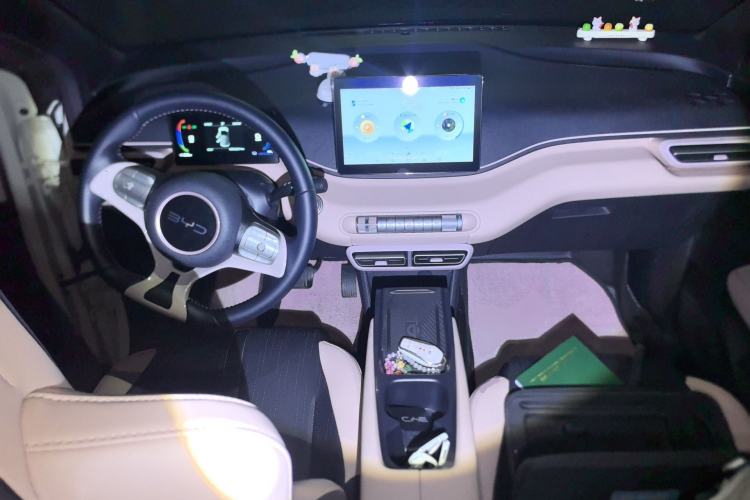 Used BYD Seagull 2024 Honor Edition 305km Freedom Version Center Console