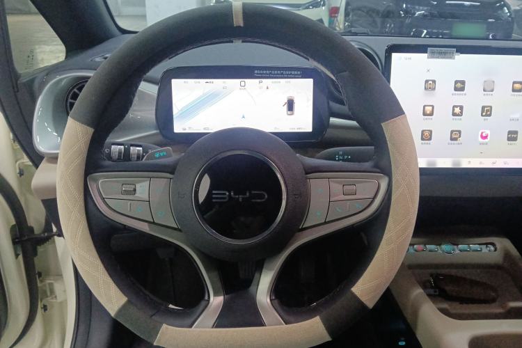 Used BYD Dolphin 2025 Smart Drive Version 420 km Freedom Edition
