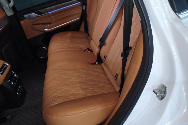 Used Tank 500 New Energy 2026 Model—Hi4-Z Smart Enjoyment Version Left Rear Seat