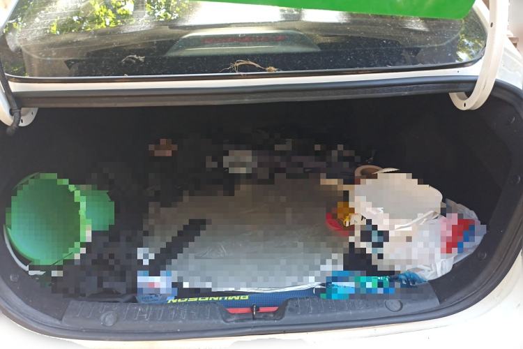 Used Changan Eado New Energy 2019 EV460 Smart Edition