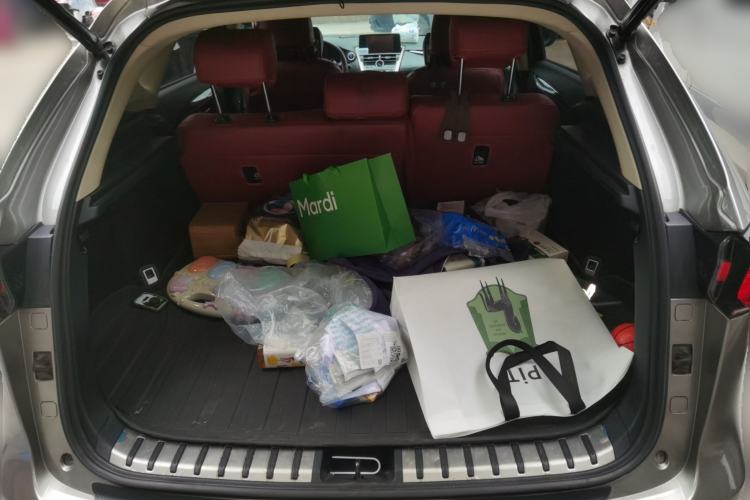 Used Lexus NX 2018 300h All-Wheel-Drive FENGZHI Edition China V Emission Standard Trunk