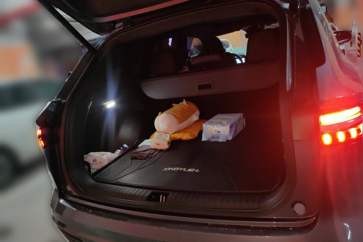 Used Geely Auto Monjaro L 2024 2.0TD High-Power Automatic Two-Wheel Drive Skyline Edition
