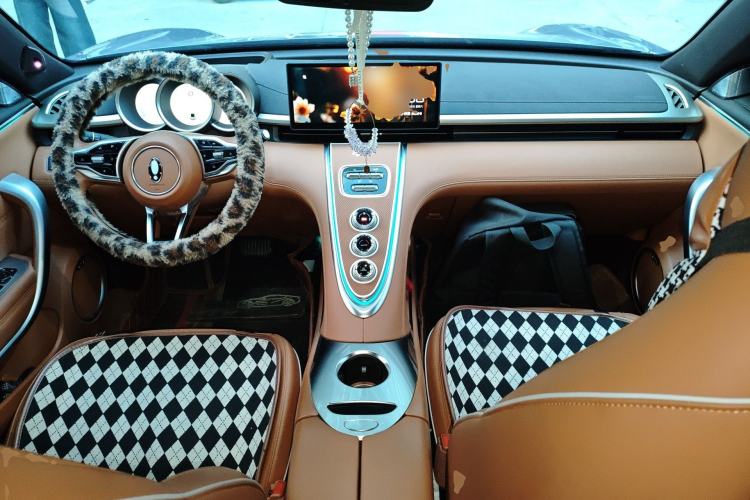 Used ORA Lightning Cat 2022 555 km Luxury Edition
