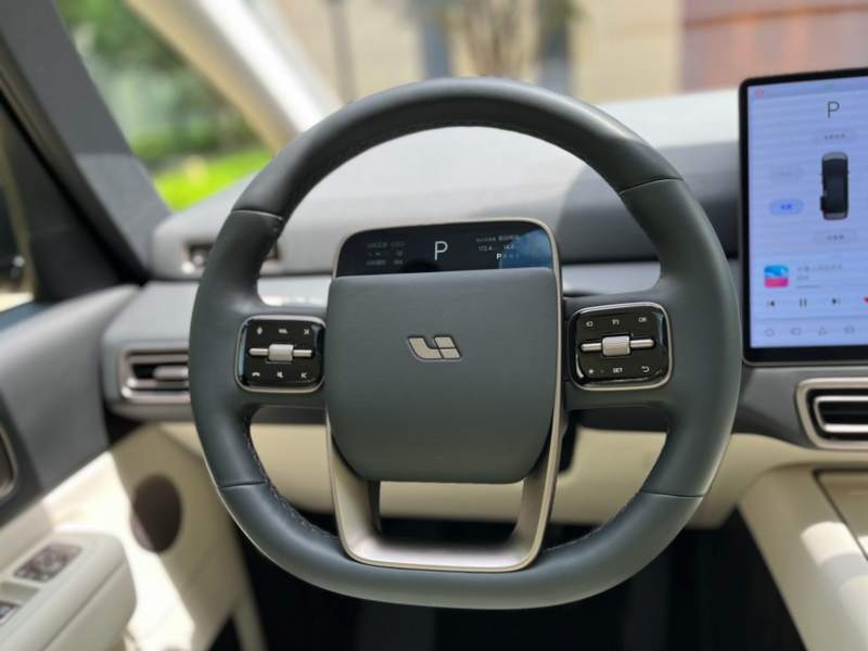Used Li Auto MEGA 2025 Home Family Special Edition — 45