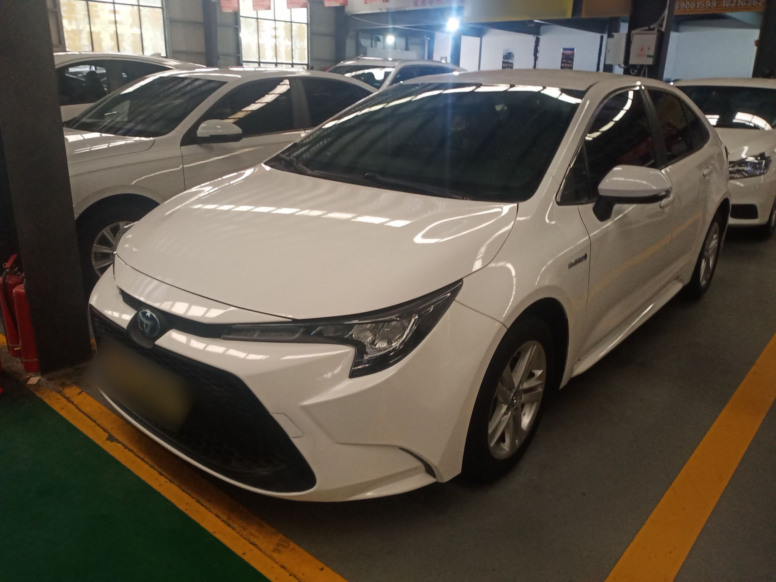 Parte inferior delantera